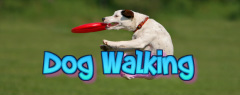 Enfield dog walking