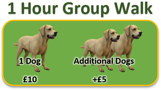 1 hour for 1 dog £10, additional dogs +£5